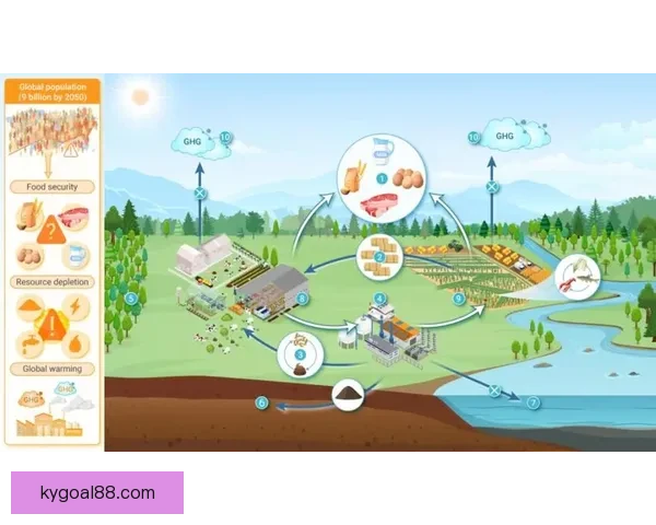 开云APP创新功能全解析，提升购物体验与个性化推荐服务