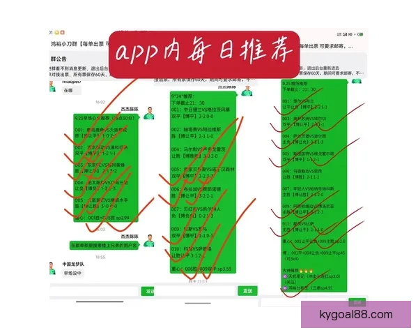 足球竞猜赔率全解析：提升胜率的策略与实用技巧揭秘